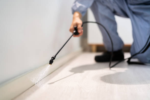 Certified termite inspector examining foundation in Hummelstown